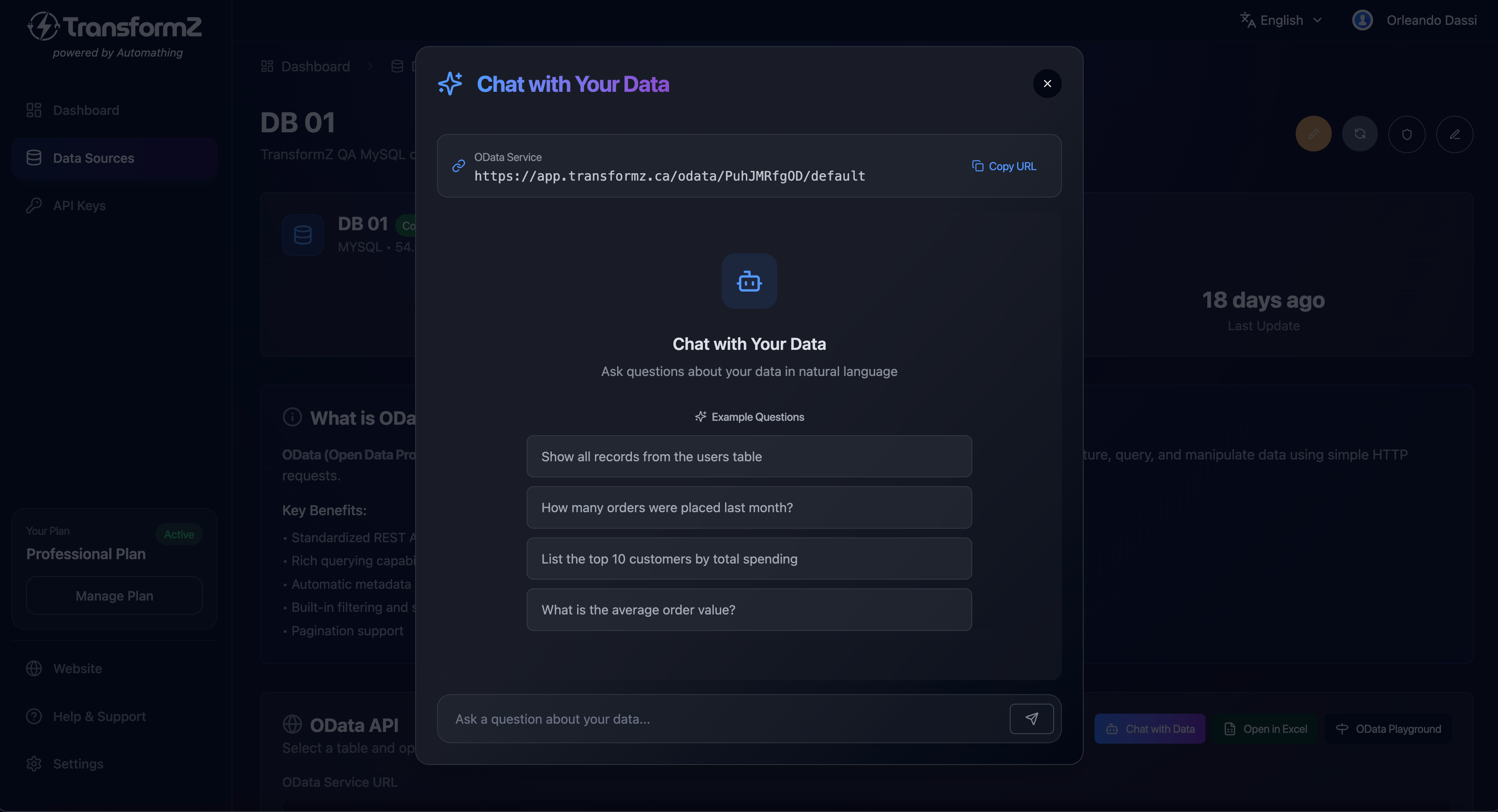 TransformZ AI Data Chat Interface