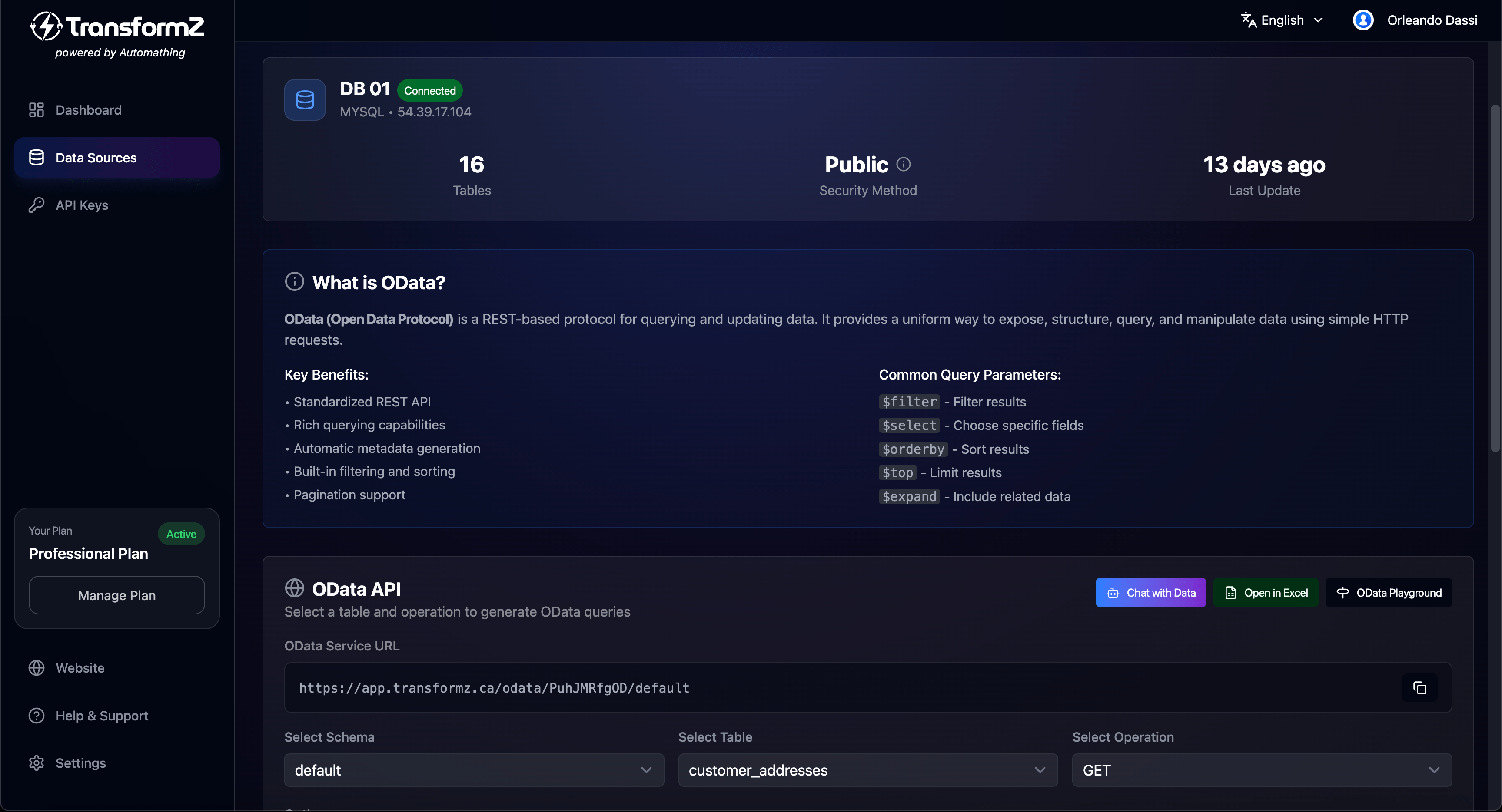 TransformZ Open in Excel Button